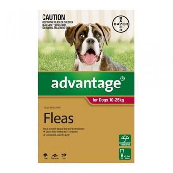 Flea and Tick control - Advantage for Do