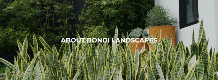 Bondi Spa Garden – Bondi Landscapes