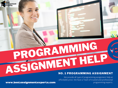 Programming assignment help 