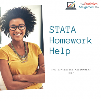 The Statistics Assignment Help