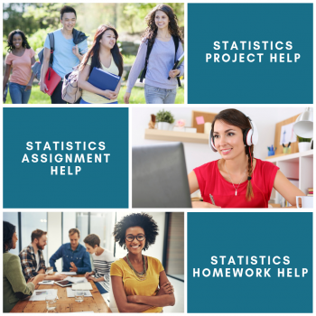 The Statistics Assignment Help