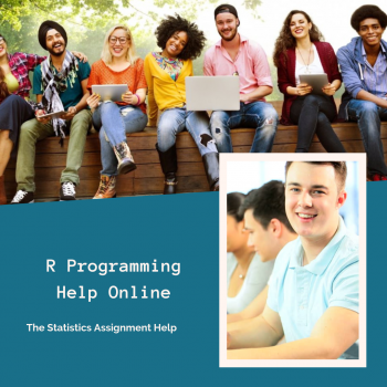 The Statistics Assignment Help
