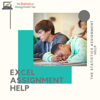 The Statistics Assignment Help