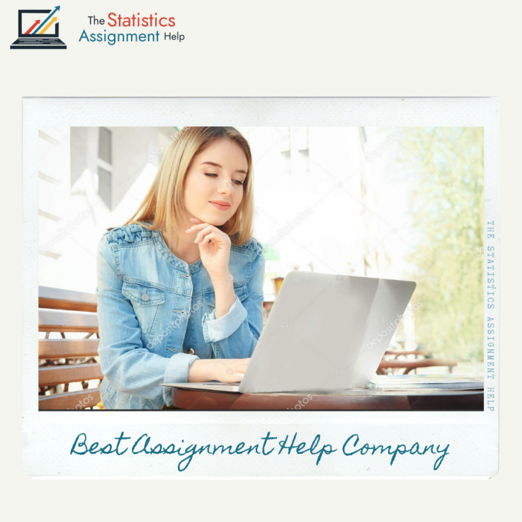 The Statistics Assignment Help