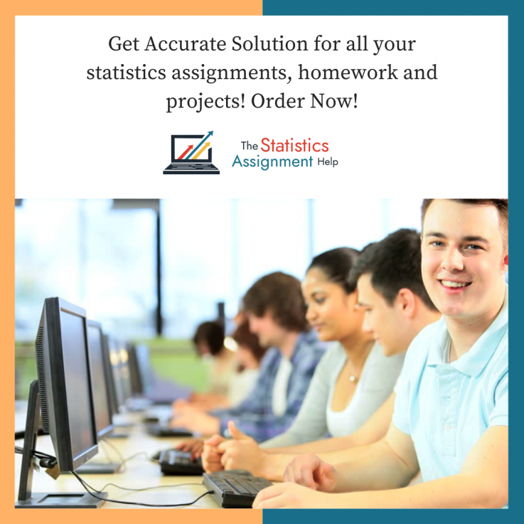 The Statistics Assignment Help