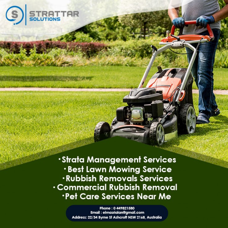Lawn Mowing Property Services 