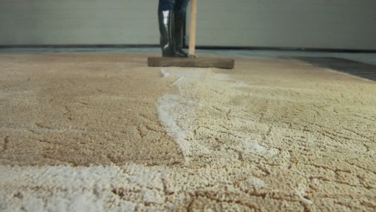 Carpet Cleaning Fremantle