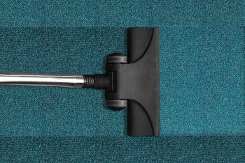 Carpet Cleaning Kingston