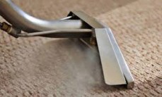 Carpet Cleaning Wynnum