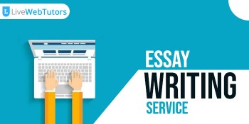 Essay writing service in New Zealand 