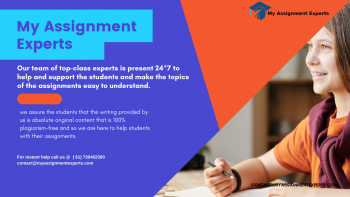 My Assignment Expert