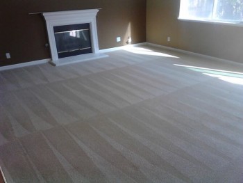 Carpet Cleaning Bayswater