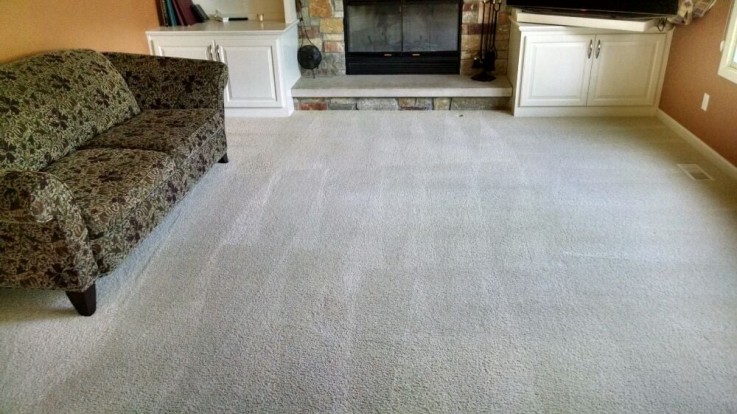 Carpet Cleaning Bayswater