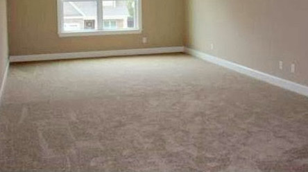 Carpet Cleaning Mosman