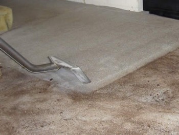 Carpet Cleaning Randwick 
