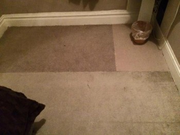 Carpet Cleaning Randwick 