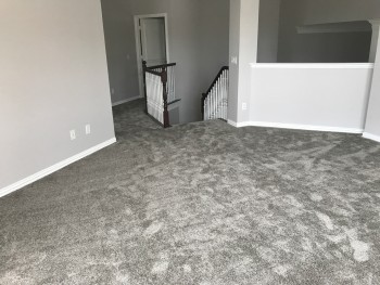 Carpet Cleaning Randwick 