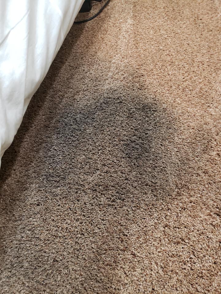 Carpet Cleaning Belconnen