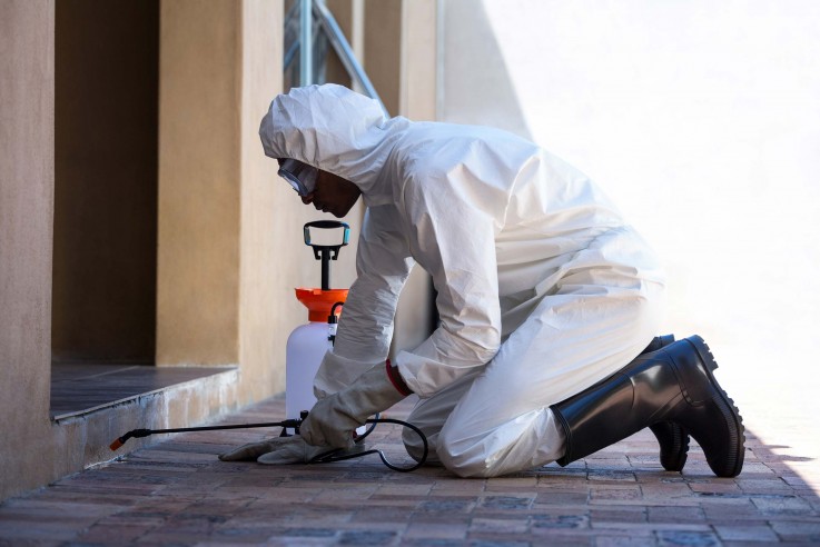 Pest Control Point Cook