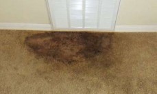 Carpet Cleaning Braddon