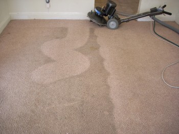 Carpet Cleaning Braddon