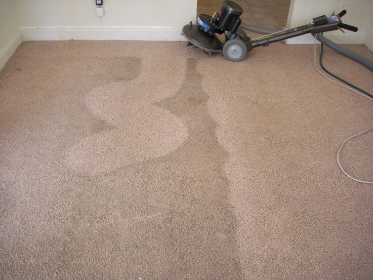 Carpet Cleaning Braddon