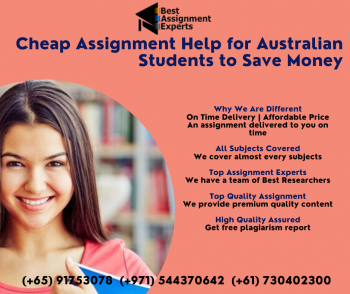 Auditing Assignments	