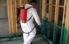 Pest Control South Yarra