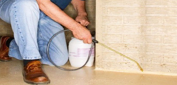 Pest Control South Yarra