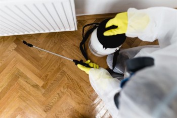 Pest Control Cranbourne