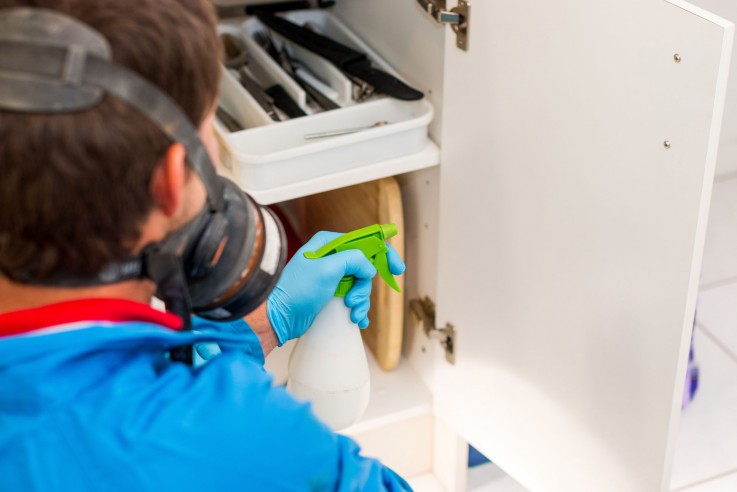 Pest Control Cranbourne