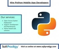 Hire Python Mobile App Developers - Affordable Web Development Services
