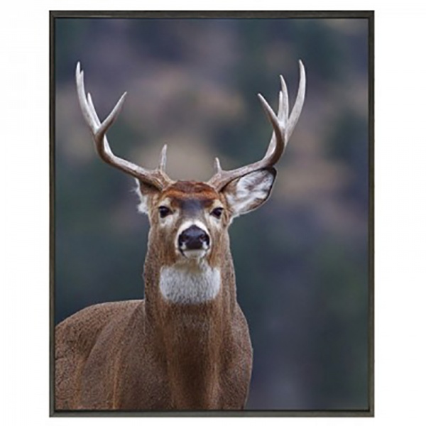 A Natural Stag Canvas