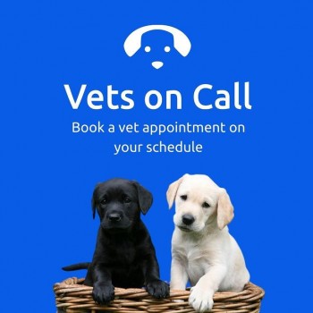 Book a Vet Near Me