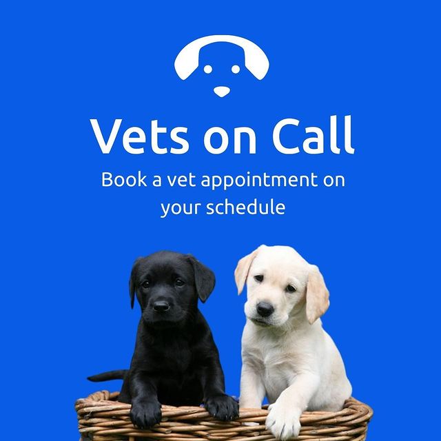 Book a Vet Near Me
