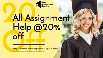 Assignment expert