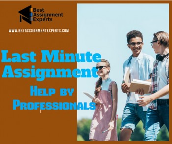 Last Minute Assignment