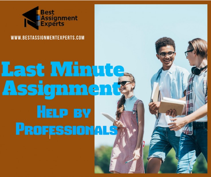Last Minute Assignment