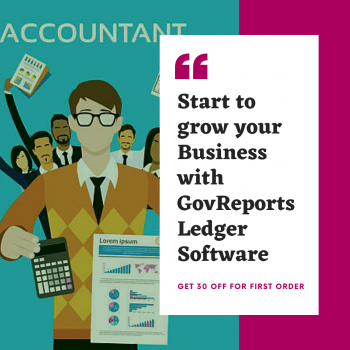 Business Accounting Ledger Software | GovReports 