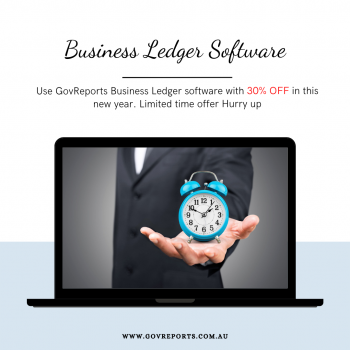 Business Accounting Ledger Software | GovReports 