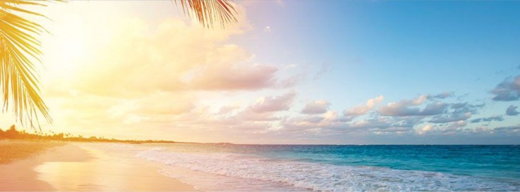 Looking for travel companies in Australia