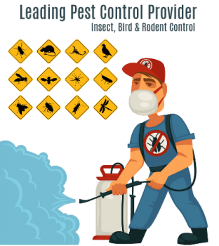 Cockroach pest control perth	