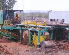 Use of Mulch To A Garden