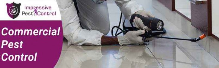 Pest Control Redlands