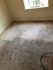 Carpet Cleaning Watson