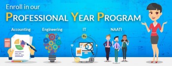 Professional Year Accounting Internships