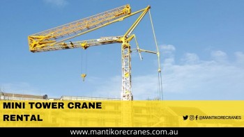 Mini Tower Crane Rental