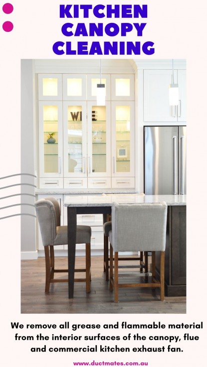 Do You Know That Your Air Duct Is A Feasting Ground for Pests? 