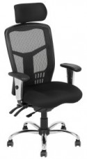 Executive Ergo Chair 