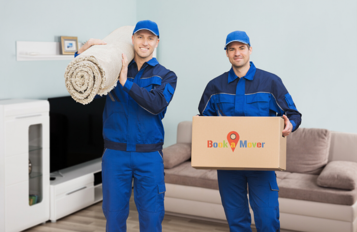 Looking For Reliable Removalist Specialist In Brisbane?